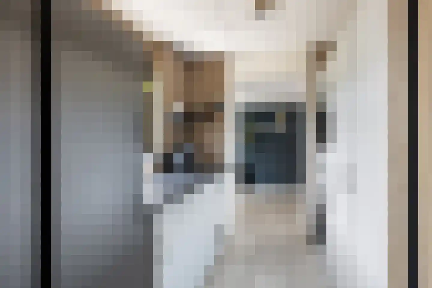 Paulus Potter 10 Creil thumbnail 15