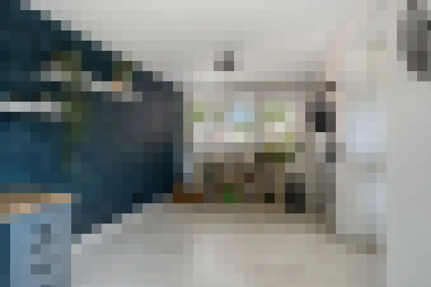 Paulus Potter 10 Creil thumbnail 17
