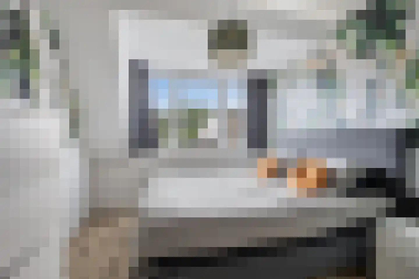 Paulus Potter 10 Creil thumbnail 19