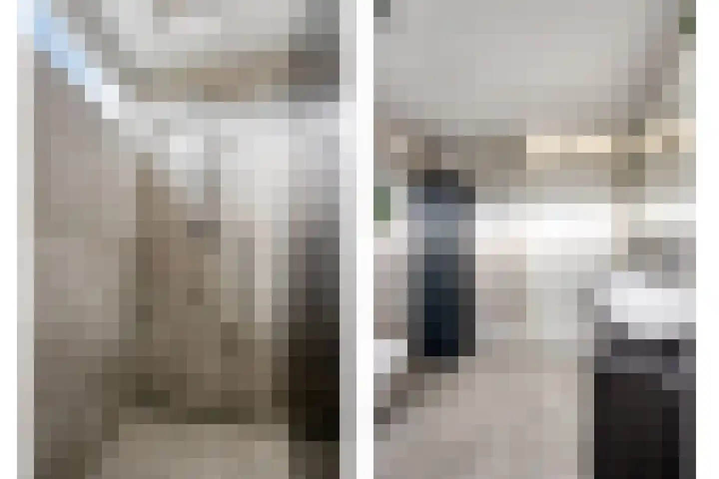 Paulus Potter 10 Creil thumbnail 23