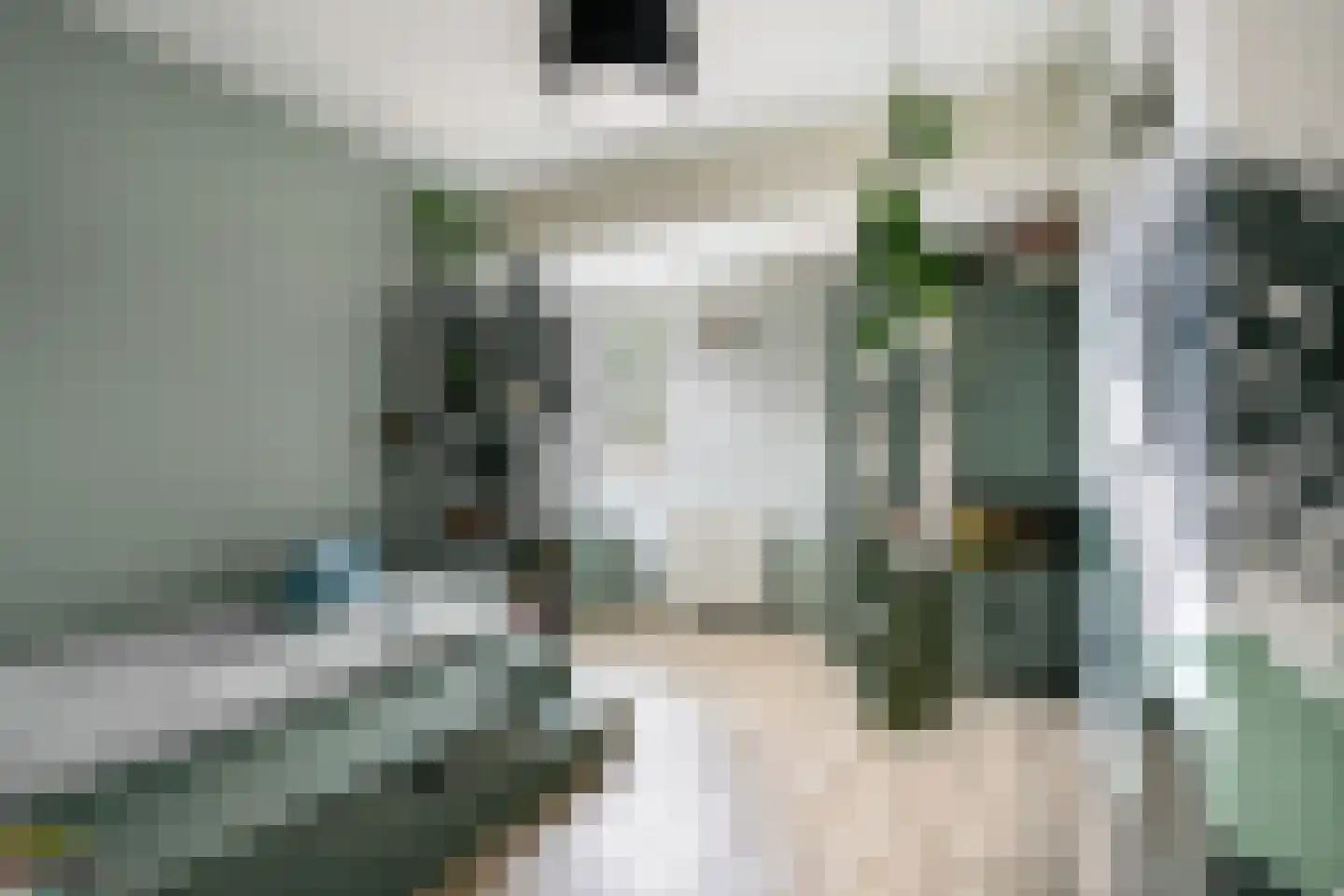 Paulus Potter 10 Creil thumbnail 25
