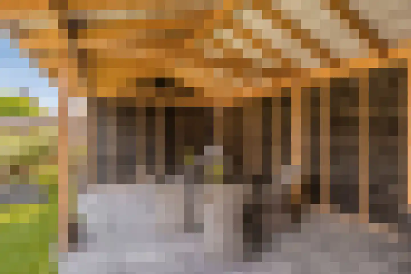 Paulus Potter 10 Creil thumbnail 30