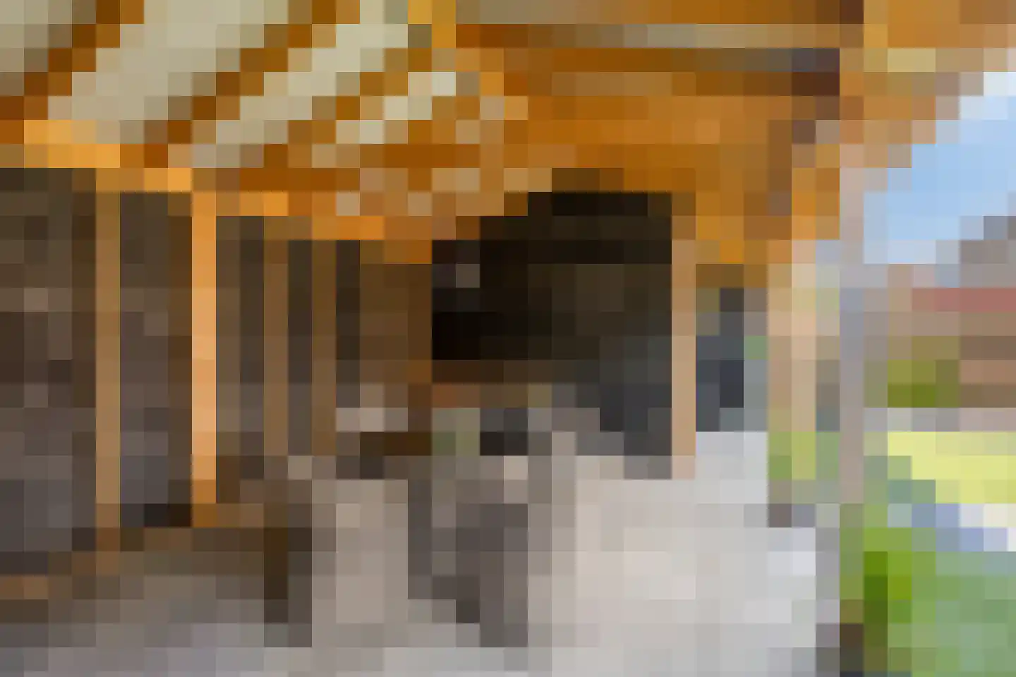 Paulus Potter 10 Creil thumbnail 31