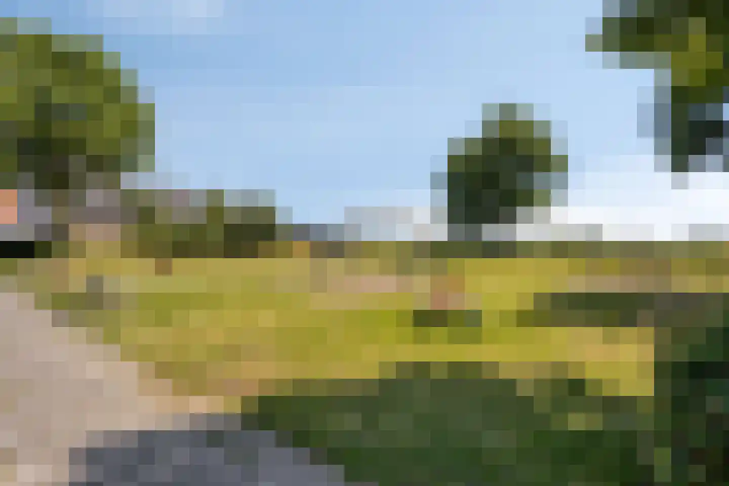 Paulus Potter 10 Creil thumbnail 33