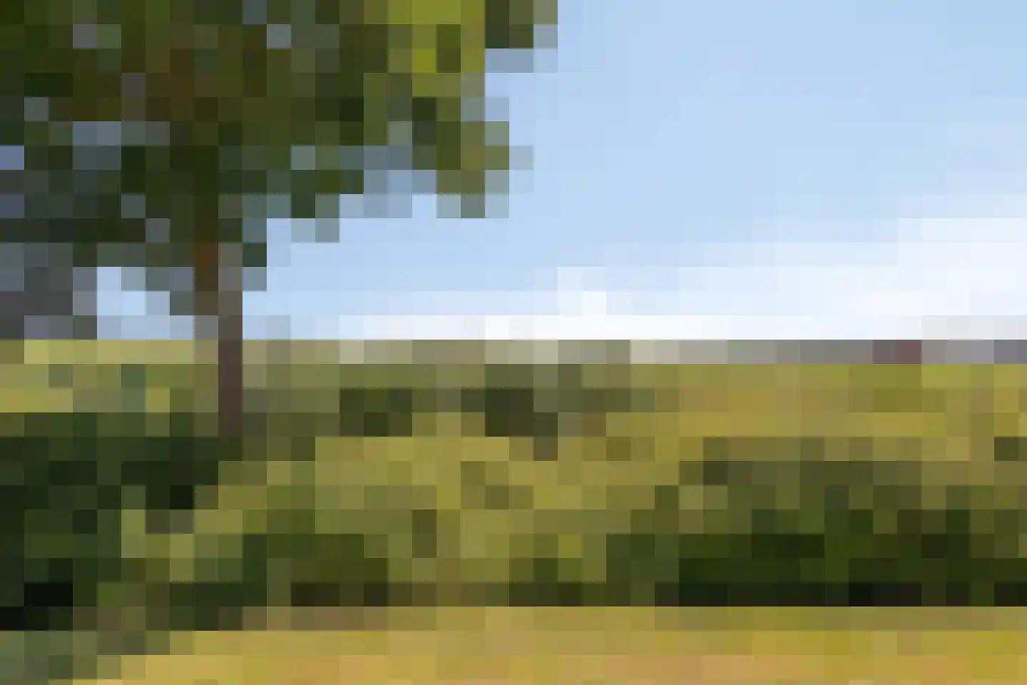 Paulus Potter 10 Creil thumbnail 34