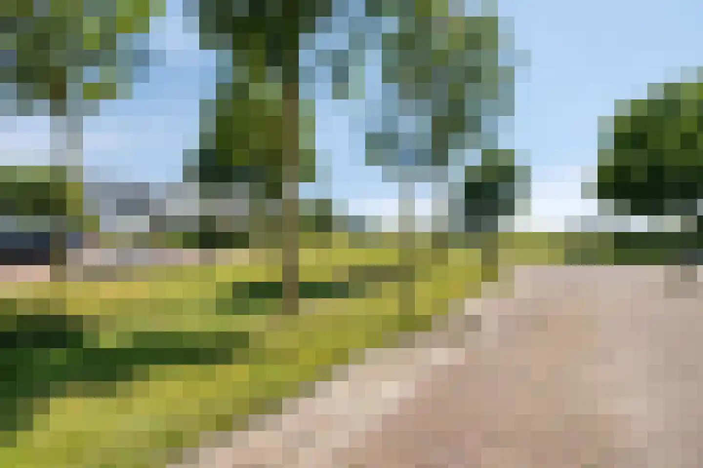 Paulus Potter 10 Creil thumbnail 35