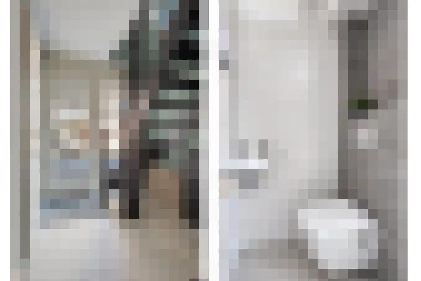 Paulus Potter 10 Creil thumbnail 5