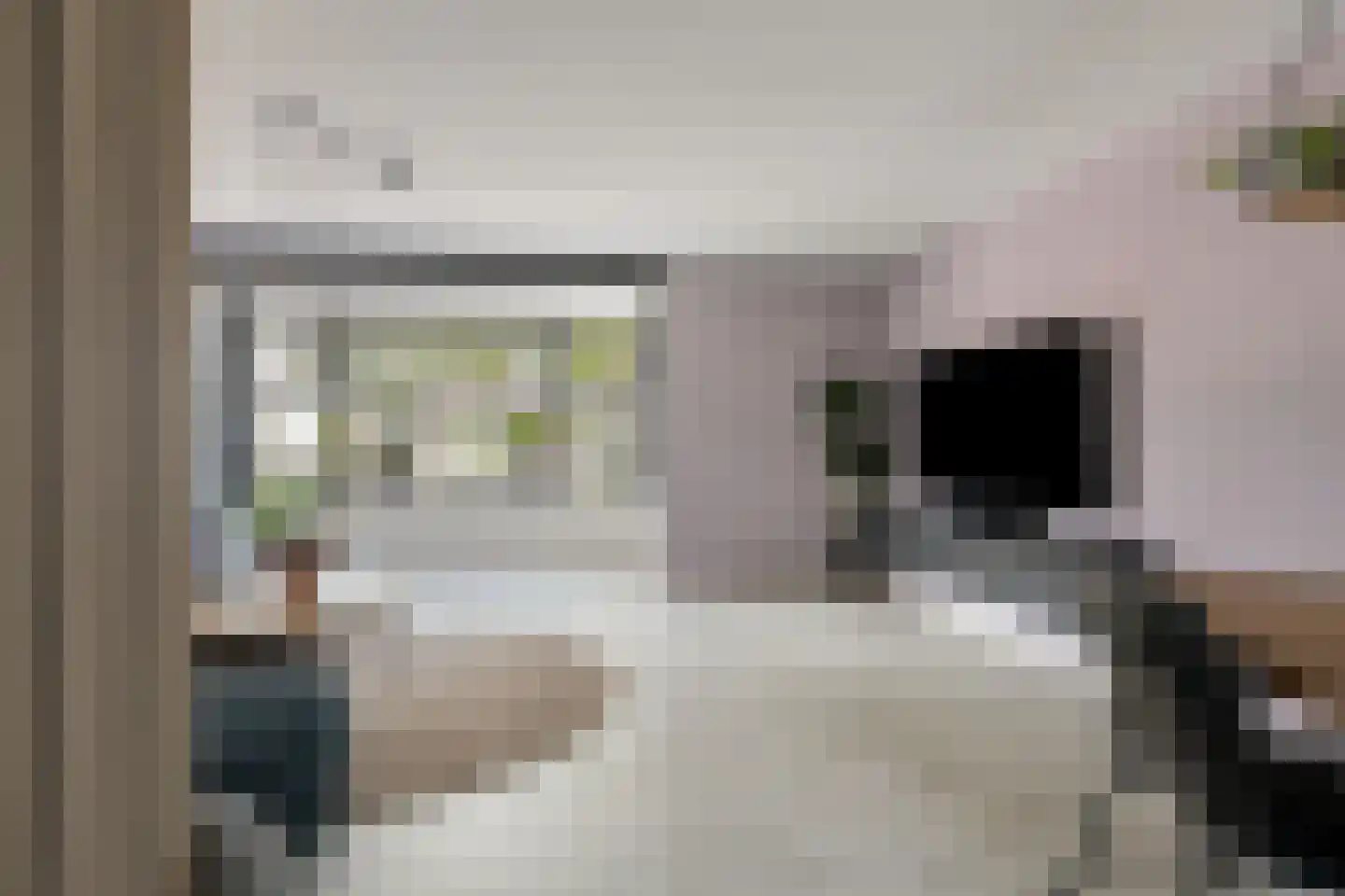 Paulus Potter 10 Creil thumbnail 7