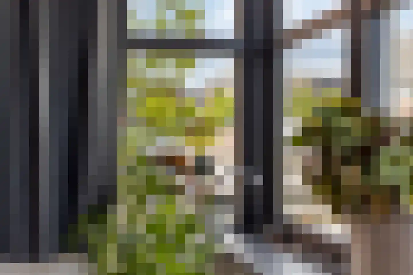 Paulus Potter 10 Creil thumbnail 9