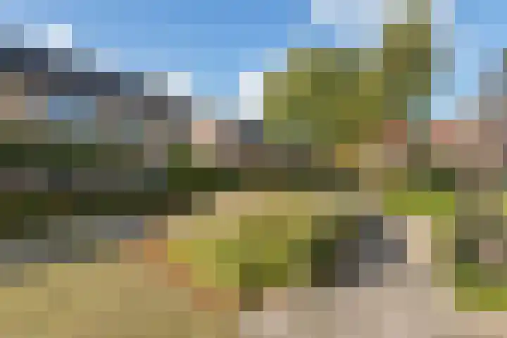 Paulus Potterhof 25 Lienden thumbnail 10