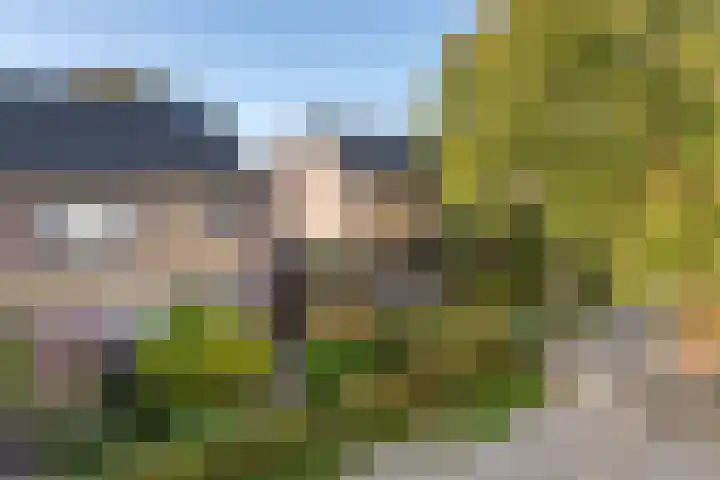 Paulus Potterhof 25 Lienden thumbnail 11