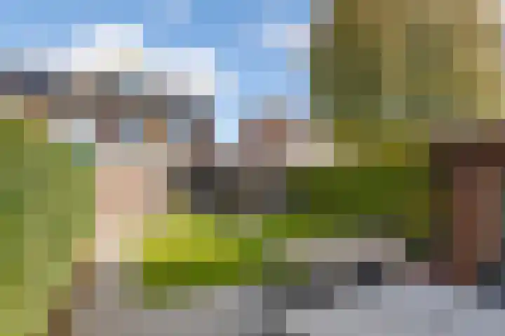 Paulus Potterhof 25 Lienden thumbnail 16