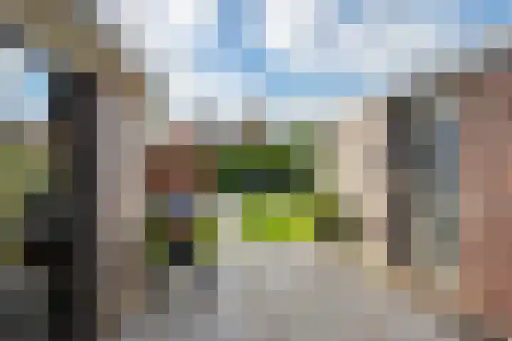 Paulus Potterhof 25 Lienden thumbnail 19