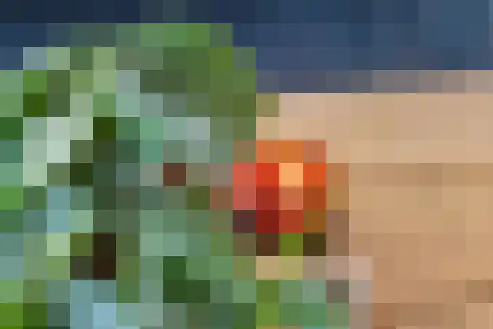 Paulus Potterhof 25 Lienden thumbnail 25