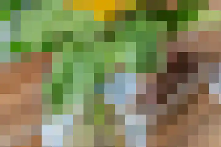 Paulus Potterhof 25 Lienden thumbnail 30