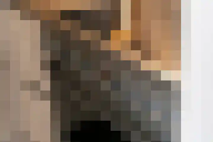 Paulus Potterhof 25 Lienden thumbnail 37