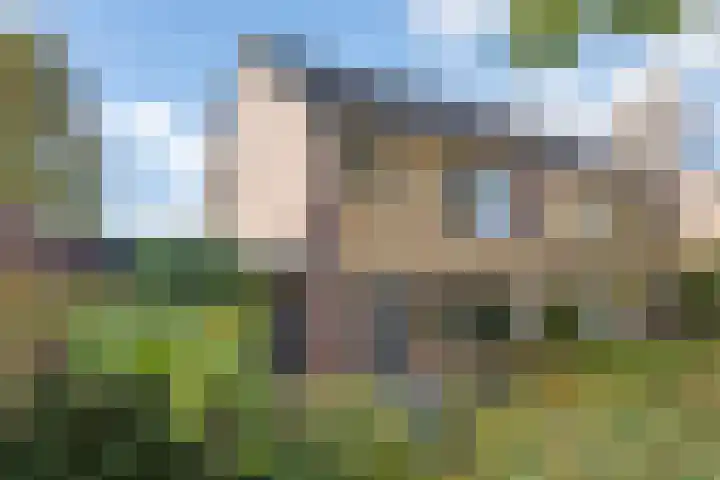 Paulus Potterhof 25 Lienden thumbnail 5