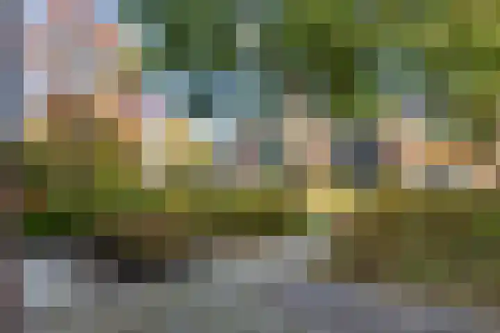 Paulus Potterhof 25 Lienden thumbnail 6