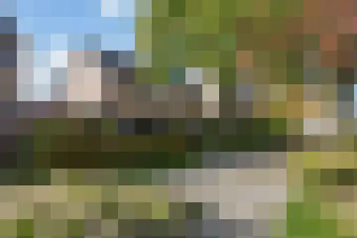 Paulus Potterhof 25 Lienden thumbnail 7