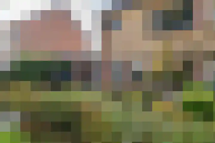Paulus Potterhof 25 Lienden thumbnail 9