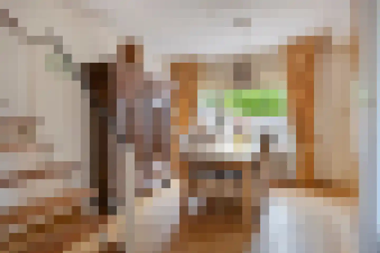 Paulus Potterhof 45 Lienden thumbnail 12