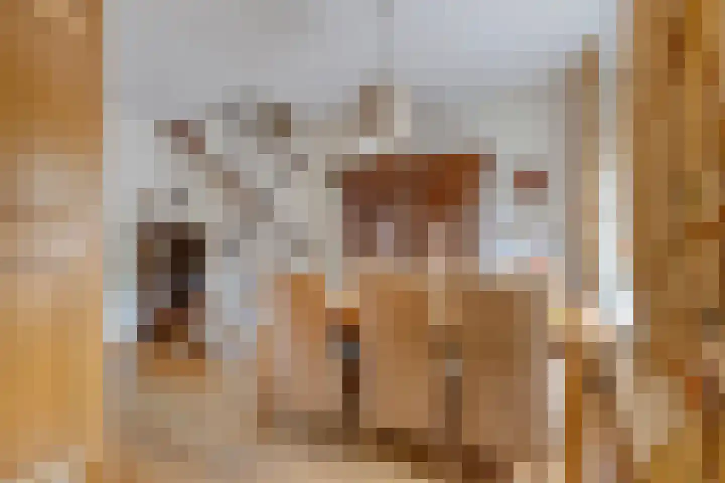 Paulus Potterhof 45 Lienden thumbnail 14