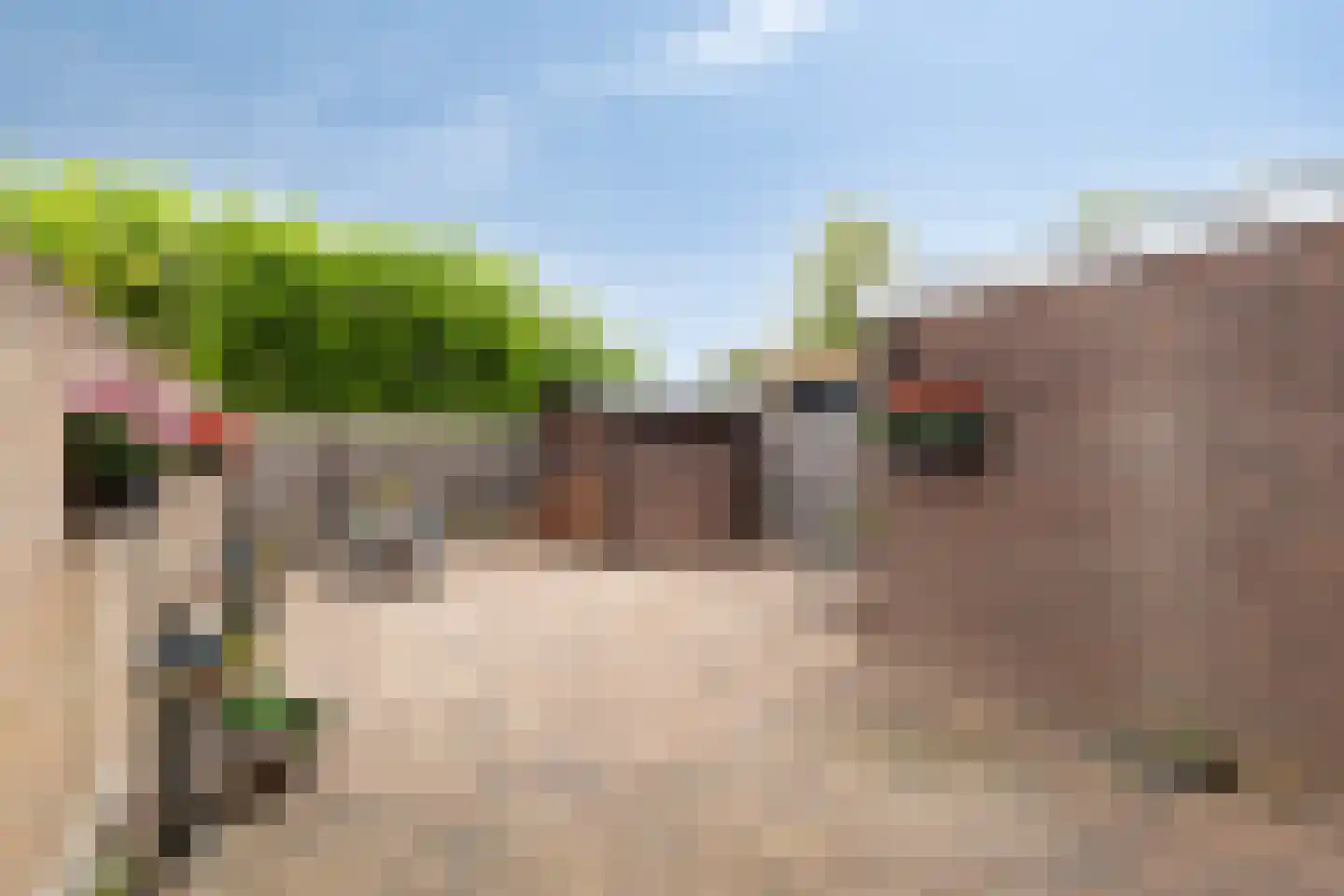 Paulus Potterhof 45 Lienden thumbnail 5