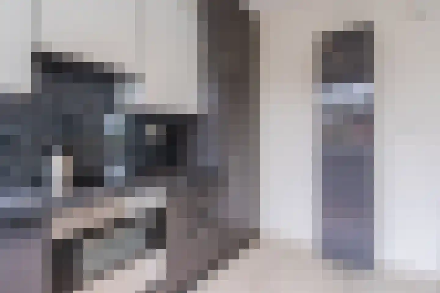 Paulus Potterlaan 1 Capelle aan den IJssel thumbnail 19