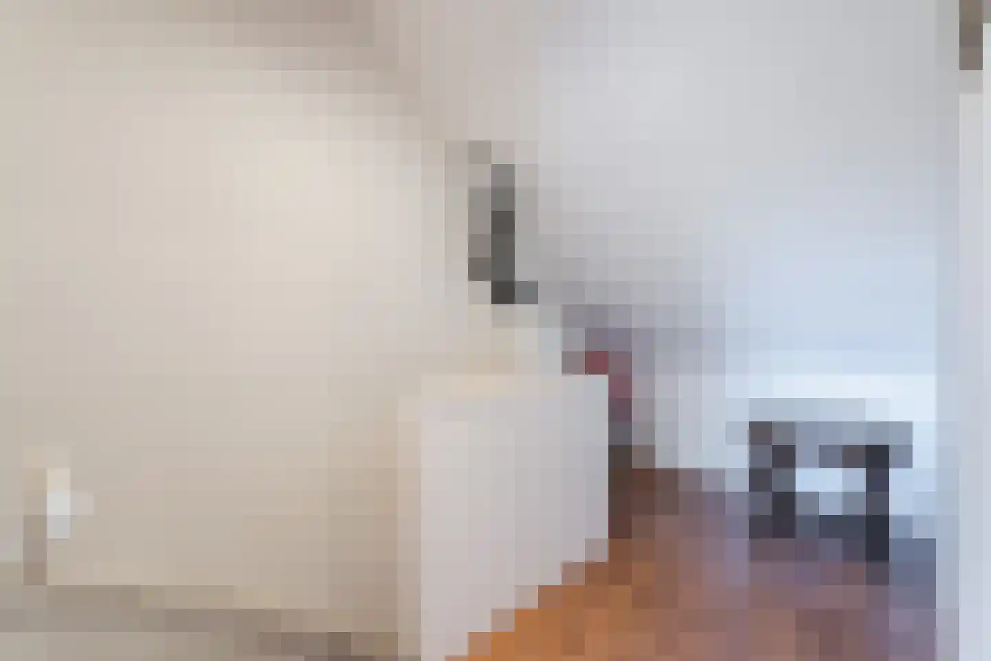 Paulus Potterlaan 1 Capelle aan den IJssel thumbnail 45