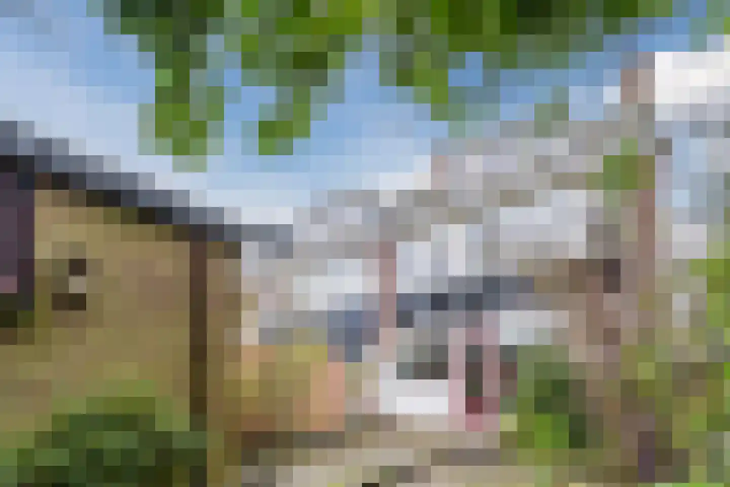 Paulus Potterlaan 1 Capelle aan den IJssel thumbnail 5