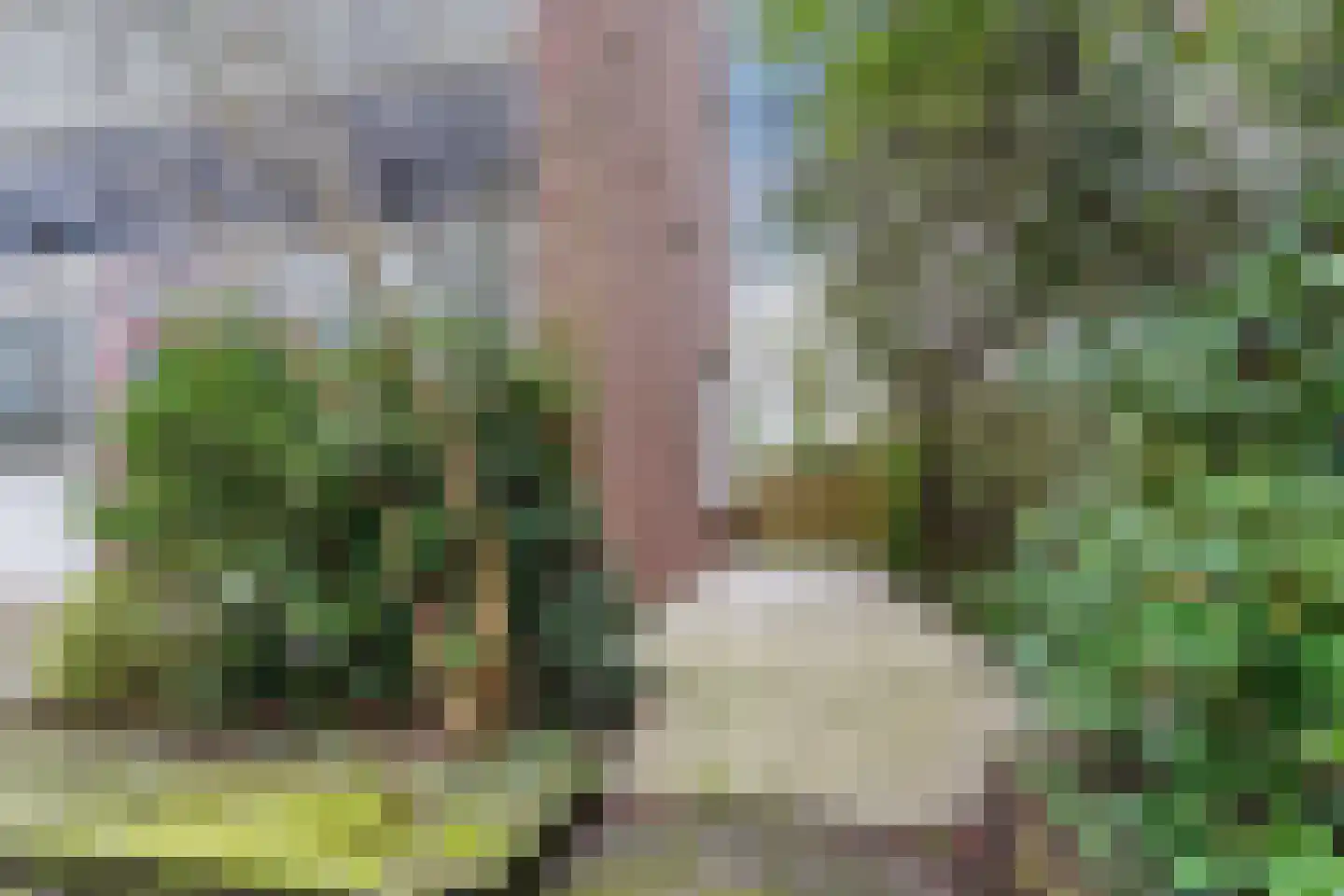 Paulus Potterlaan 1 Capelle aan den IJssel thumbnail 50