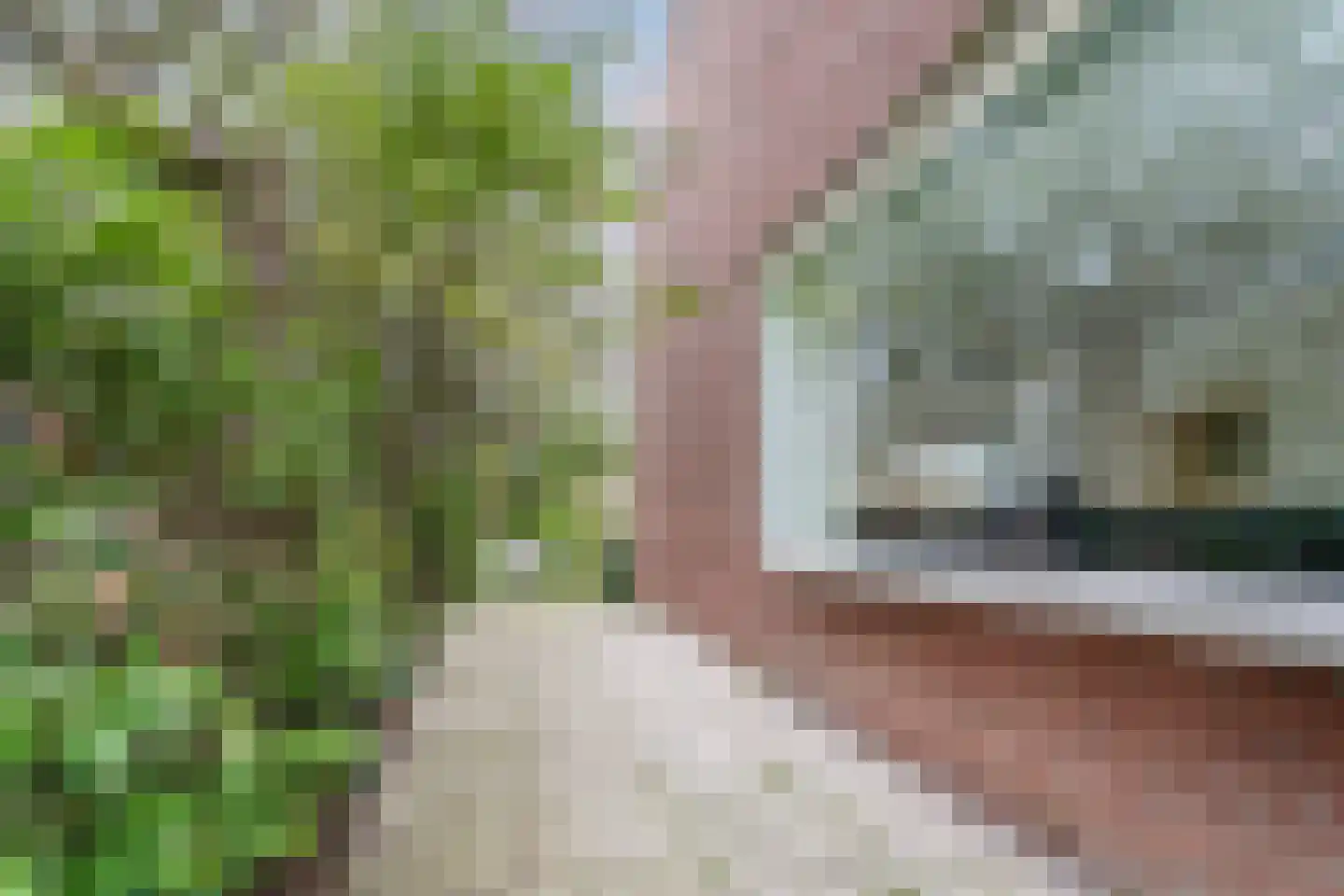 Paulus Potterlaan 1 Capelle aan den IJssel thumbnail 51