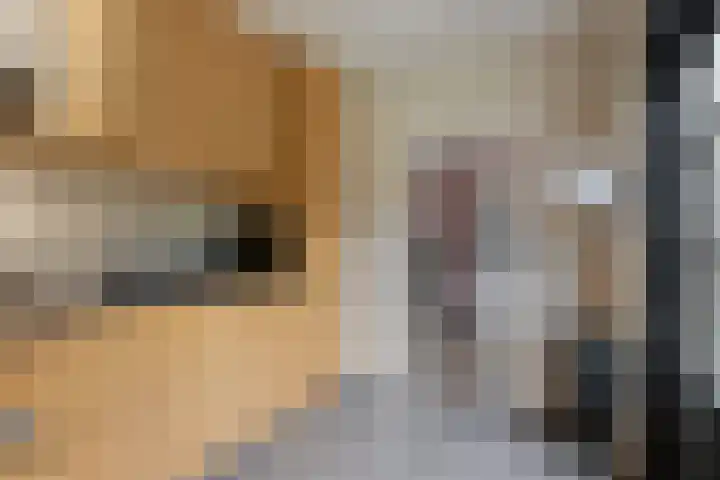 Paulus Potterlaan 1 Scherpenzeel thumbnail 10