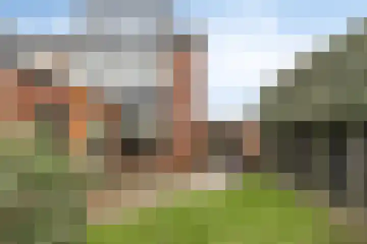 Paulus Potterlaan 1 Scherpenzeel thumbnail 29
