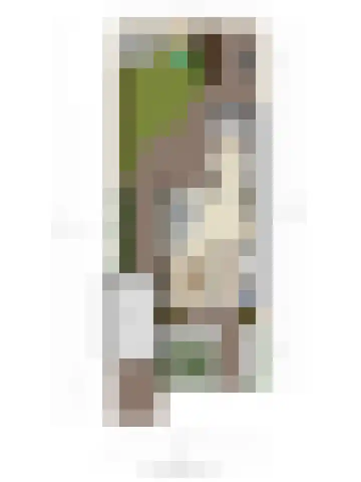 Paulus Potterlaan 1 Scherpenzeel thumbnail 40