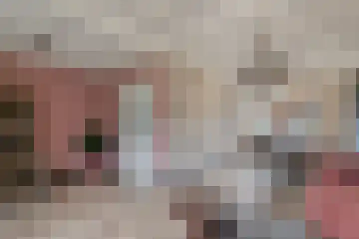 Paulus Potterlaan 1 Scherpenzeel thumbnail 5