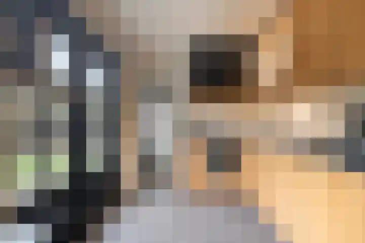 Paulus Potterlaan 1 Scherpenzeel thumbnail 9