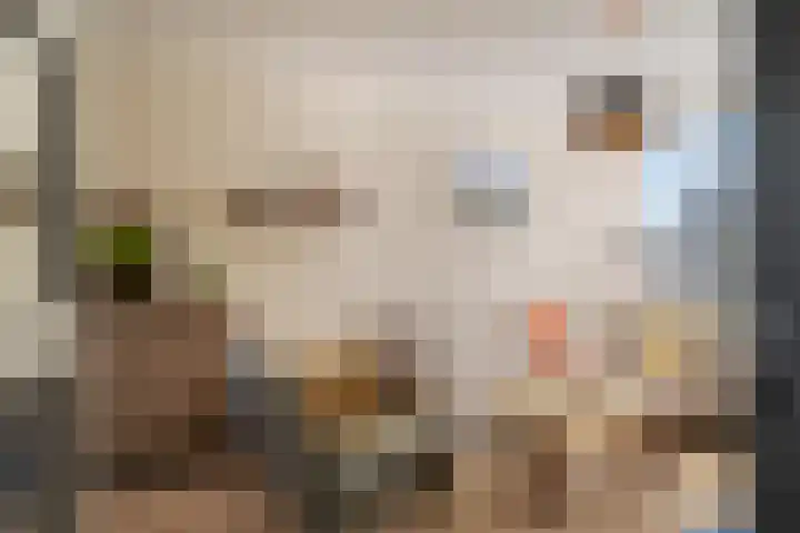 Paulus Potterlaan 13 Capelle aan den IJssel thumbnail 10