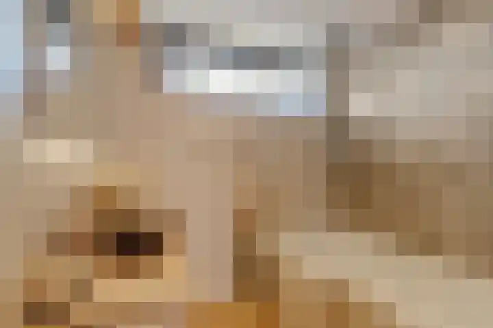 Paulus Potterlaan 13 Capelle aan den IJssel thumbnail 12