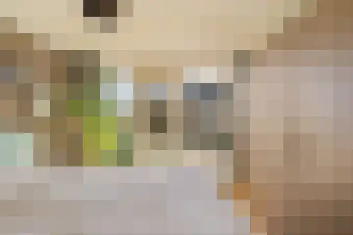 Paulus Potterlaan 13 Capelle aan den IJssel thumbnail 16