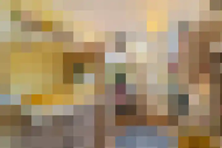 Paulus Potterlaan 13 Capelle aan den IJssel thumbnail 18
