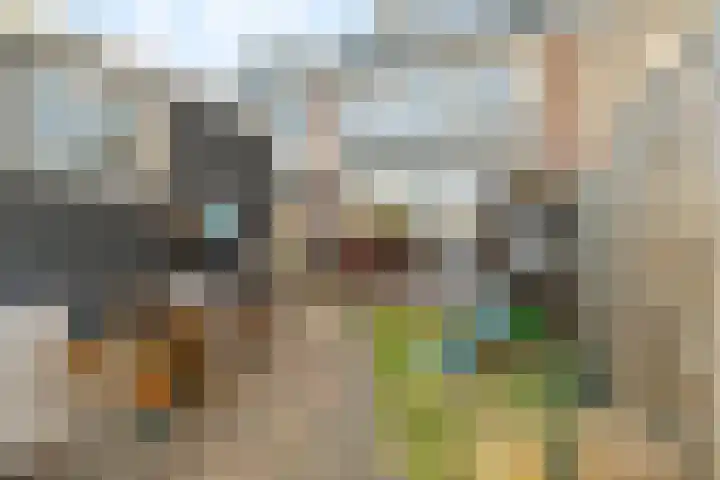 Paulus Potterlaan 13 Capelle aan den IJssel thumbnail 28