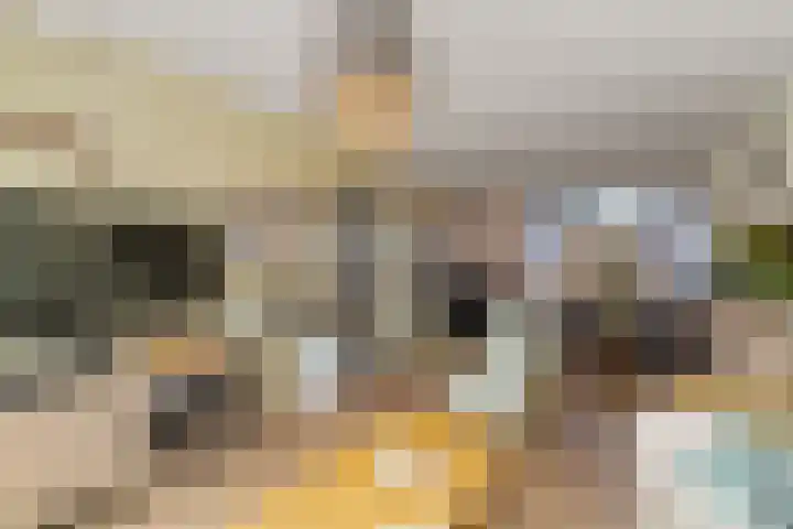 Paulus Potterlaan 13 Capelle aan den IJssel thumbnail 8