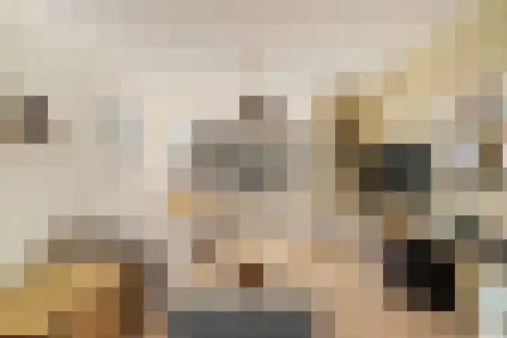 Paulus Potterlaan 13 Capelle aan den IJssel thumbnail 9