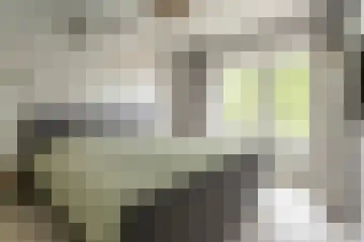 Paulus Potterlaan 14 Soest thumbnail 10