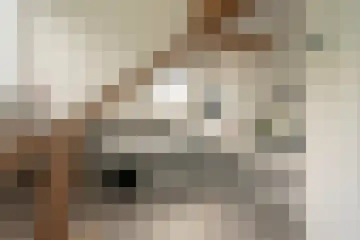 Paulus Potterlaan 14 Soest thumbnail 18