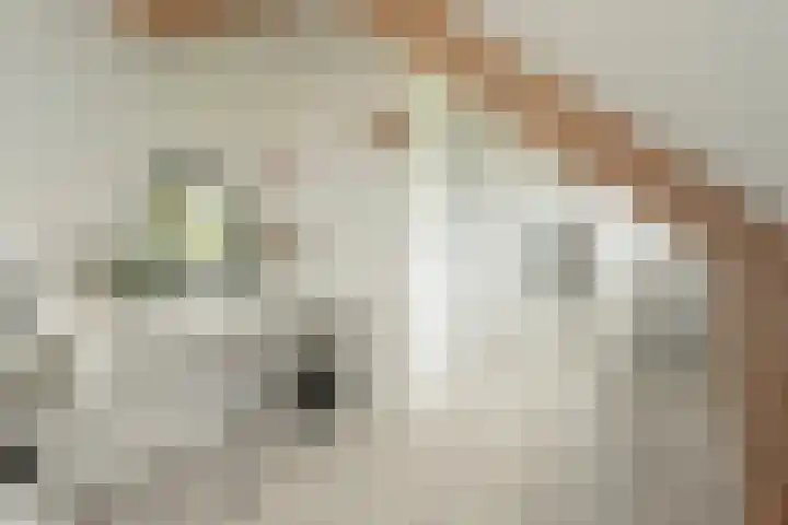 Paulus Potterlaan 14 Soest thumbnail 19