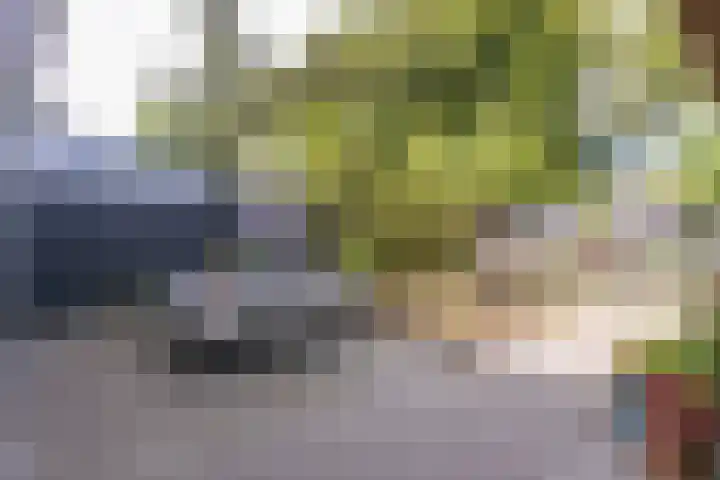 Paulus Potterlaan 14 Soest thumbnail 22