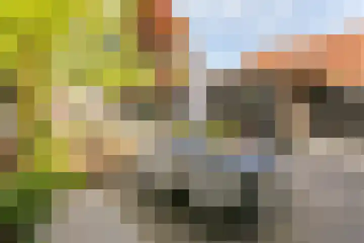 Paulus Potterlaan 14 Soest thumbnail 23