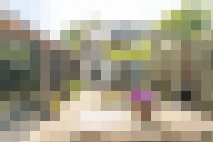 Paulus Potterlaan 14 Soest thumbnail 24